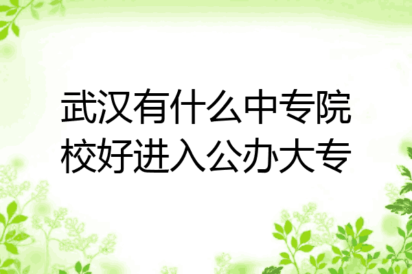 武汉有什么中专院校好进入公办大专