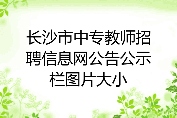 长沙市中专教师招聘信息网公告公示栏图片大小