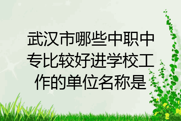 武汉市哪些中职中专比较好进学校工作的单位名称是