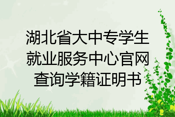 湖北省大中专学生就业服务中心官网查询学籍证明书