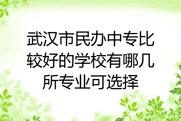 武汉市民办中专比较好的学校有哪几所专业可选择
