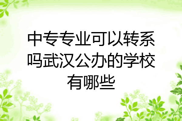 中专专业可以转系吗武汉公办的学校有哪些