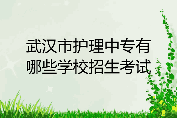 武汉市护理中专有哪些学校招生考试