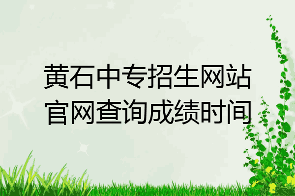 黄石中专招生网站官网查询成绩时间