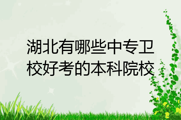 湖北有哪些中专卫校好考的本科院校