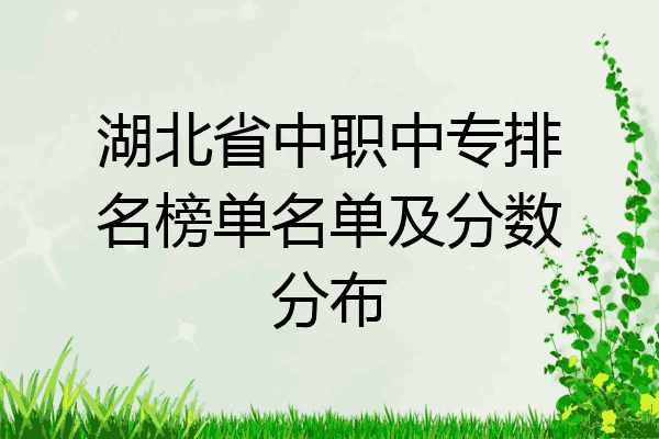 湖北省中职中专排名榜单名单及分数分布