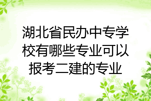 湖北省民办中专学校有哪些专业可以报考二建的专业