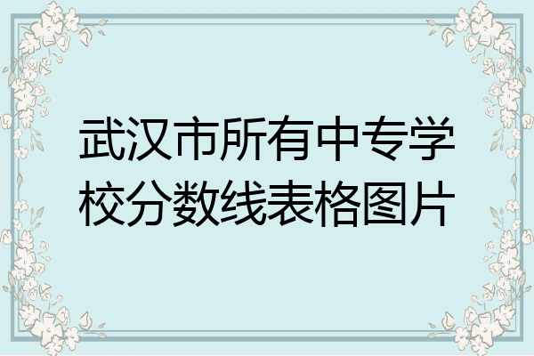 武汉市所有中专学校分数线表格图片