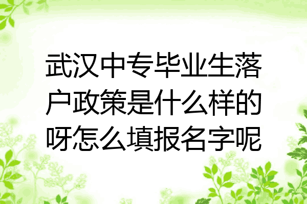 武汉中专毕业生落户政策是什么样的呀怎么填报名字呢