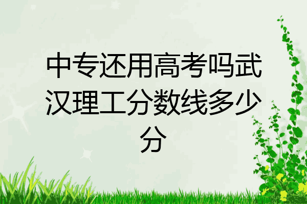 中专还用高考吗武汉理工分数线多少分