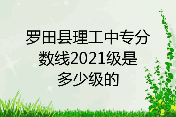 罗田县理工中专分数线2021级是多少级的