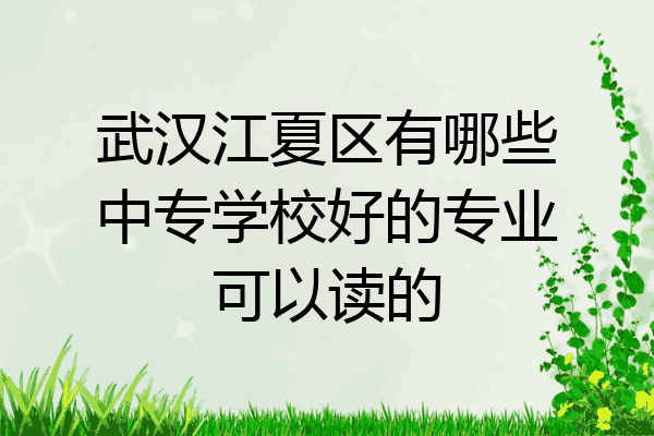武汉江夏区有哪些中专学校好的专业可以读的