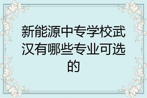 新能源中专学校武汉有哪些专业可选的