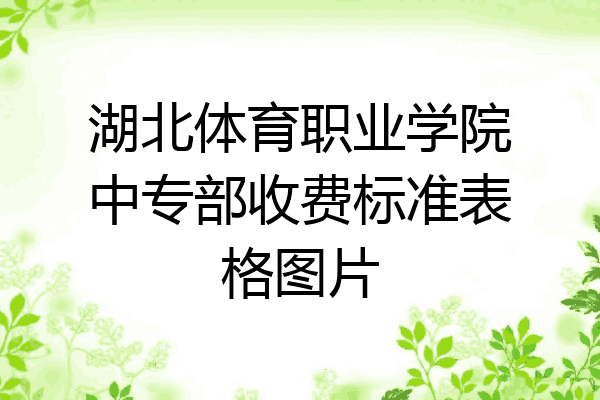 湖北体育职业学院中专部收费标准表格图片
