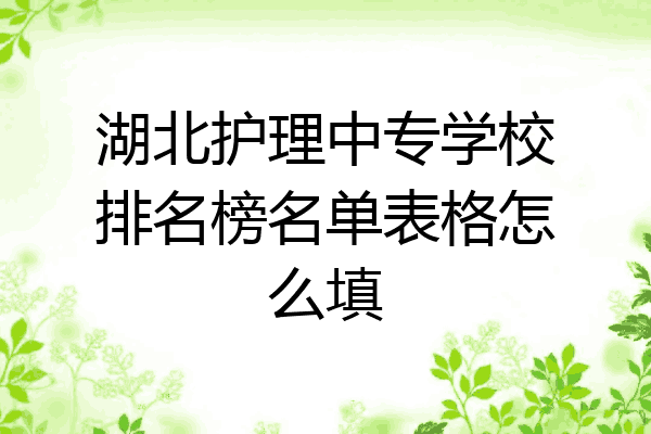 湖北护理中专学校排名榜名单表格怎么填
