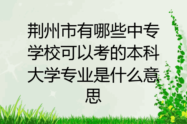 荆州市有哪些中专学校可以考的本科大学专业是什么意思