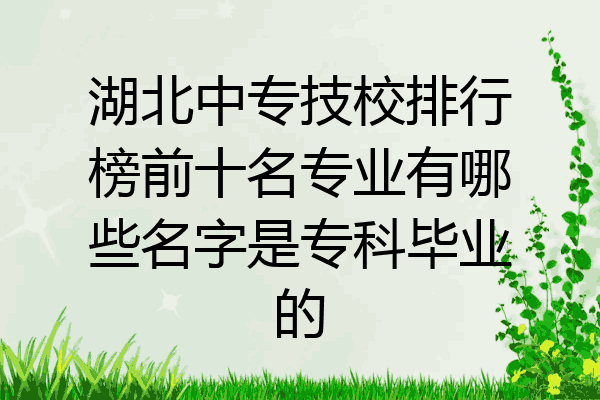 湖北中专技校排行榜前十名专业有哪些名字是专科毕业的