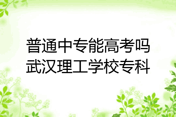 普通中专能高考吗武汉理工学校专科