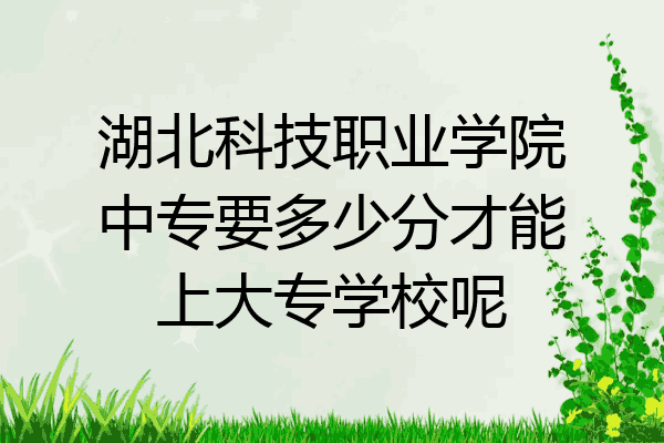 湖北科技职业学院中专要多少分才能上大专学校呢