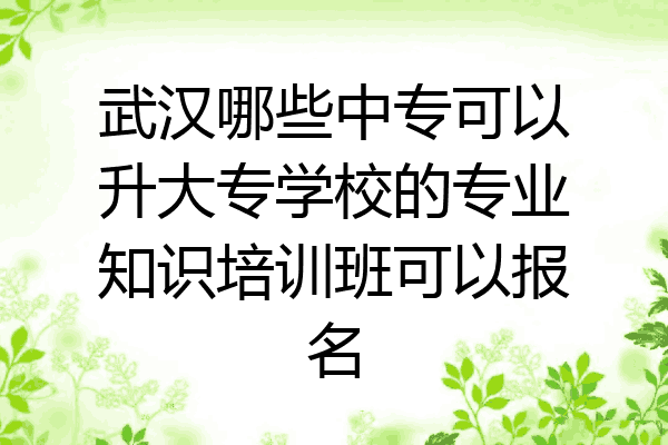 武汉哪些中专可以升大专学校的专业知识培训班可以报名