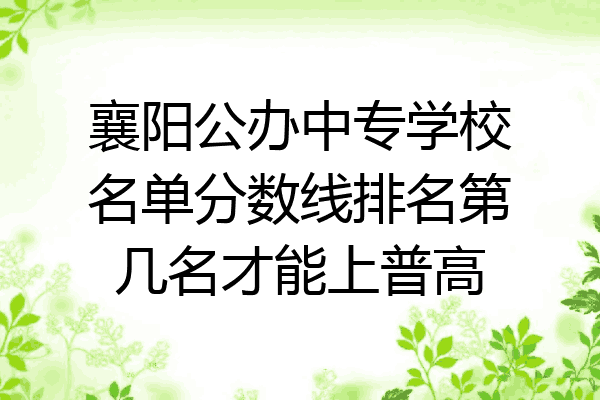 襄阳公办中专学校名单分数线排名第几名才能上普高