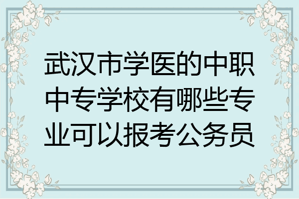 武汉市学医的中职中专学校有哪些专业可以报考公务员