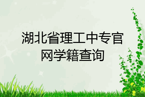 湖北省理工中专官网学籍查询