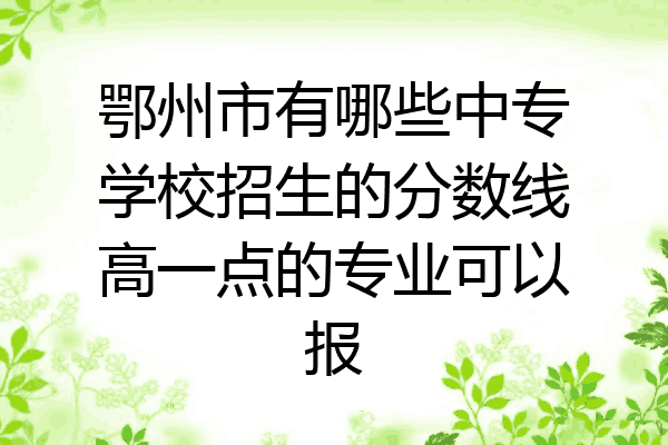 鄂州市有哪些中专学校招生的分数线高一点的专业可以报