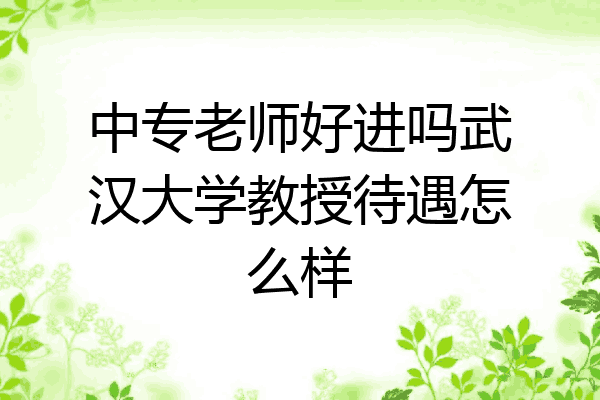 中专老师好进吗武汉大学教授待遇怎么样