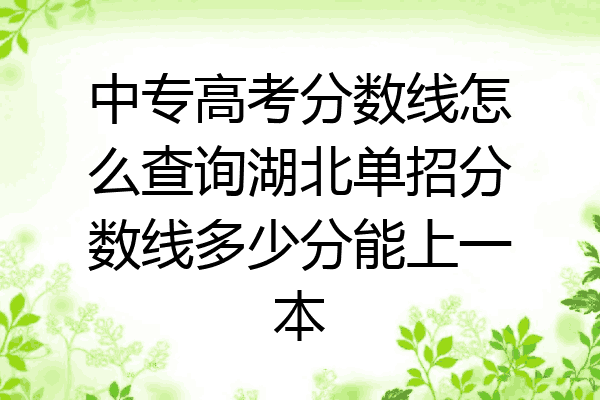 中专高考分数线怎么查询湖北单招分数线多少分能上一本