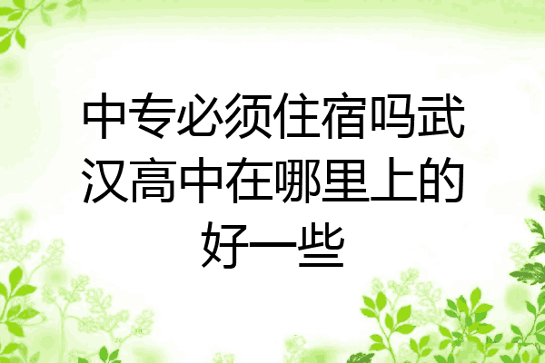 中专必须住宿吗武汉高中在哪里上的好一些