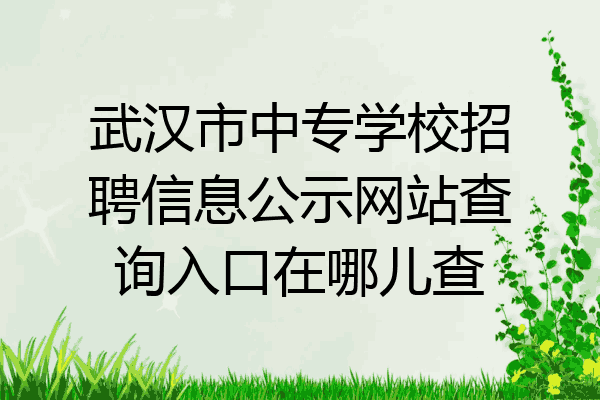 武汉市中专学校招聘信息公示网站查询入口在哪儿查