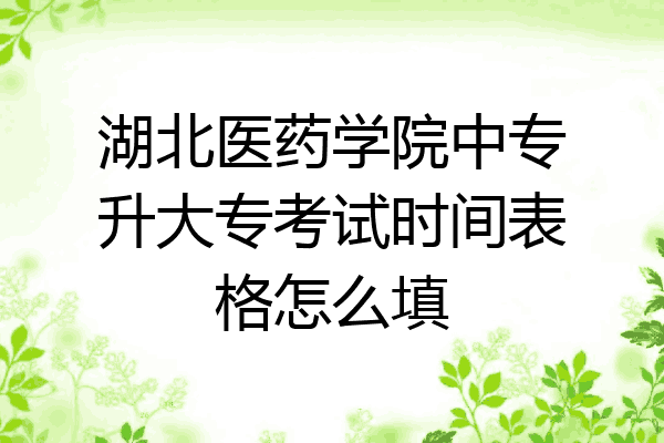 湖北医药学院中专升大专考试时间表格怎么填