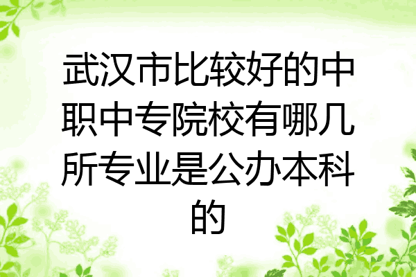 武汉市比较好的中职中专院校有哪几所专业是公办本科的