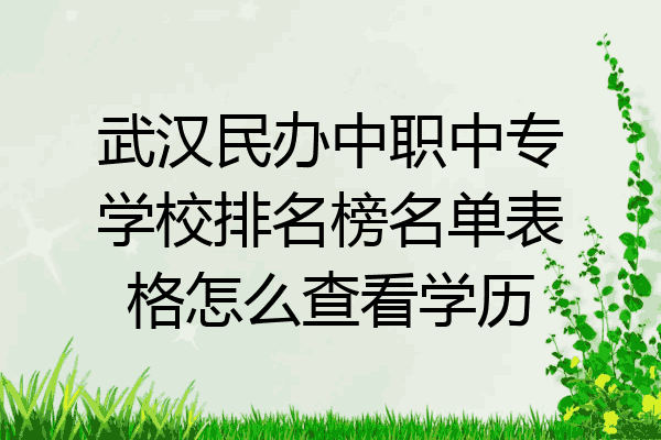 武汉民办中职中专学校排名榜名单表格怎么查看学历