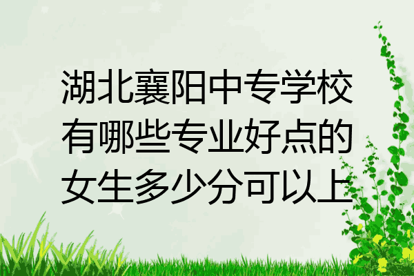 湖北襄阳中专学校有哪些专业好点的女生多少分可以上