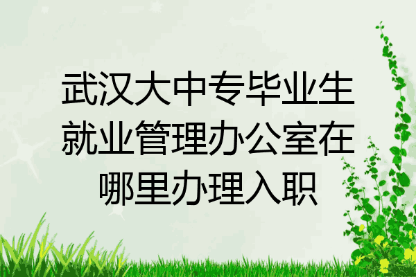 武汉大中专毕业生就业管理办公室在哪里办理入职