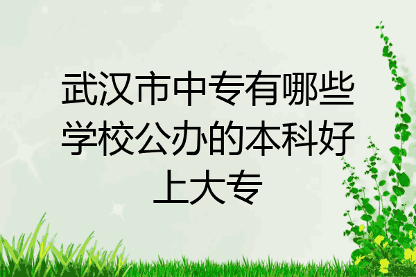 武汉市中专有哪些学校公办的本科好上大专
