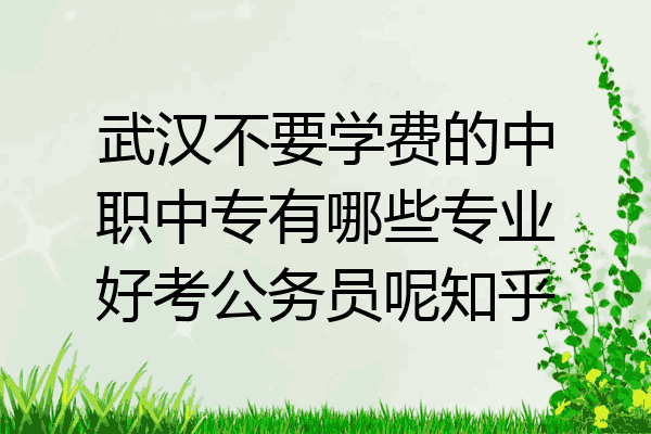 武汉不要学费的中职中专有哪些专业好考公务员呢知乎