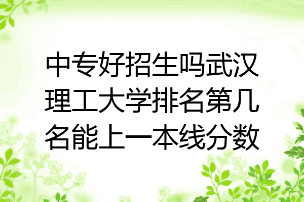 中专好招生吗武汉理工大学排名第几名能上一本线分数
