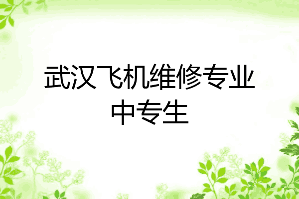 武汉飞机维修专业中专生