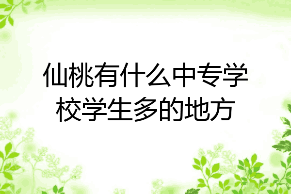 仙桃有什么中专学校学生多的地方