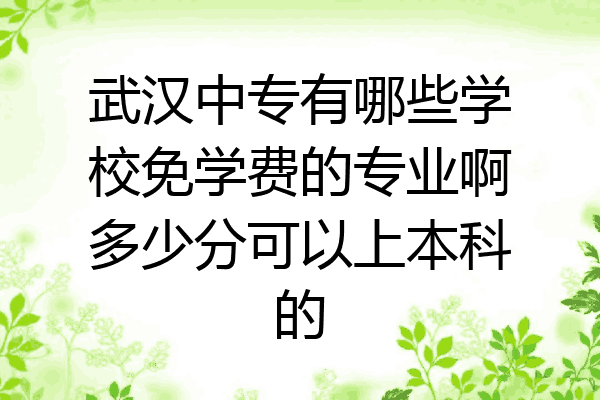武汉中专有哪些学校免学费的专业啊多少分可以上本科的