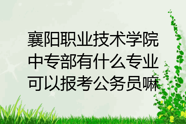 襄阳职业技术学院中专部有什么专业可以报考公务员嘛