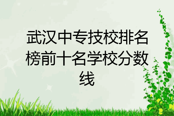 武汉中专技校排名榜前十名学校分数线