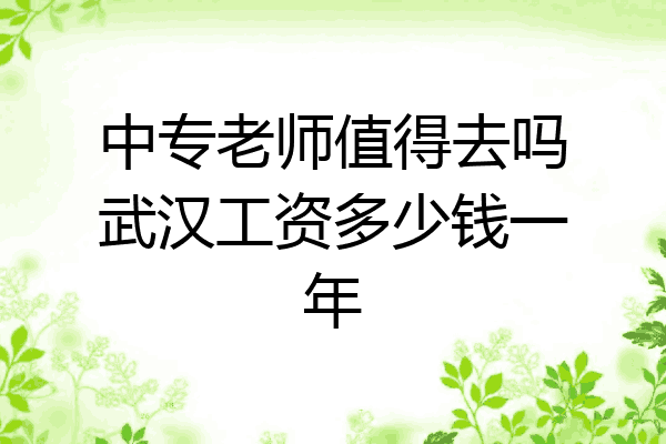 中专老师值得去吗武汉工资多少钱一年