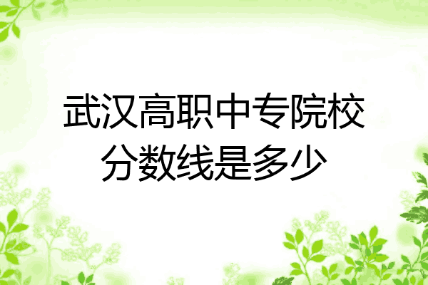 武汉高职中专院校分数线是多少