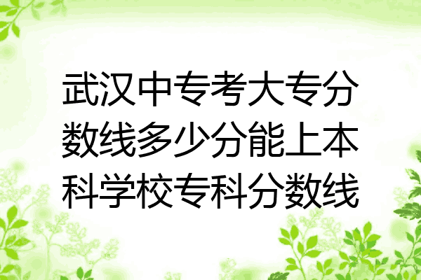 武汉中专考大专分数线多少分能上本科学校专科分数线