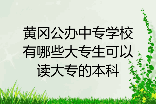 黄冈公办中专学校有哪些大专生可以读大专的本科