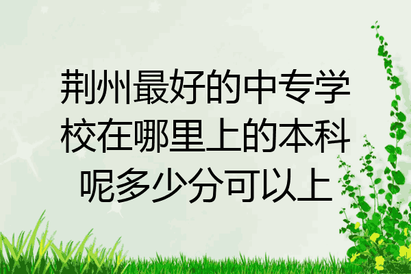 荆州最好的中专学校在哪里上的本科呢多少分可以上